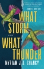 What Storm, What Thunder By Myriam JA Chancy Cover Image