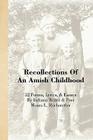 Recollections of an Amish Childhood By Moses L. Hochstetler Cover Image
