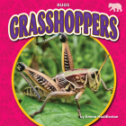 Grasshoppers (Bugs) By Emma Huddleston Cover Image