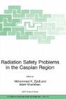 Radiation Safety Problems in the Caspian Region: Proceedings of the NATO Advanced Research Workshop on Radiation Safety Problems in the Caspian Region (NATO Science Series: IV: #41) By Mohammed K. Zaidi (Editor), Islam Mustafaev (Editor) Cover Image