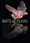 Bats of Texas (W. L. Moody Jr. Natural History Series #43) By Loren K. Ammerman, Christine L. Hice, David J. Schmidly, Carson Brown (Illustrator) Cover Image