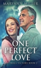 One Perfect Love Cover Image