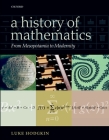 A History of Mathematics: From Mesopotamia to Modernity By Luke Hodgkin Cover Image