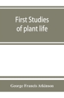 First studies of plant life Cover Image