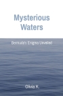 Mysterious Waters: Bermuda's Enigma Unveiled Cover Image