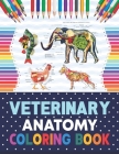 Veterinary Anatomy Coloring Book: Introduction to veterinary anatomy. The New Surprising Magnificent Learning Structure For Veterinary Anatomy Student Cover Image