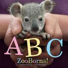 ABC ZooBorns! By Andrew Bleiman, Chris Eastland Cover Image