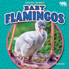 Baby Flamingos By Jenna Grodzicki Cover Image