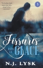 Fissures dans la Glace 5 By N. J. Lysk Cover Image