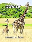 Girafe: dessine et écrit By Journal Des Enfants Cover Image