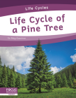 Life Cycle of a Pine Tree By Meg Gaertner Cover Image