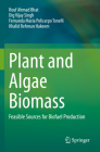 Plant and Algae Biomass: Feasible Sources for Biofuel Production By Rouf Ahmad Bhat, Dig Vijay Singh, Fernanda Maria Policarpo Tonelli Cover Image
