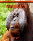 Orangutan! An Educational Children's Book about Orangutan with Fun Facts By Sue Reed Cover Image