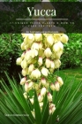 Yucca: 17 Unique Yucca Plants & How tо Care for Them Cover Image