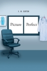 Picture Perfect By J. H. Catch Cover Image