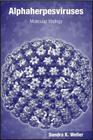 Alphaherpesviruses: Molecular Virology By Sandra K. Weller (Editor) Cover Image