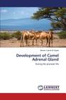 Development of Camel Adrenal Gland Cover Image