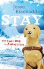 Stay: The Last Dog in Antarctica By Jesse Blackadder Cover Image