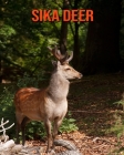 Sika Deer: Amazing Facts about Sika Deer By Devin Haines Cover Image