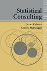 Statistical Consulting Cover Image