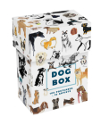 Dog Box: 100 Postcards by 10 Artists By Princeton Architectural Press Cover Image