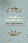 A Guide to Incubating Eggs - With Tips on Bird's Natural Incubation and Artificial Incubation By Anon Cover Image