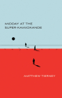 Midday at the Super-Kamiokande By Matthew Tierney Cover Image