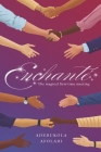 Enchanté: The magical first-time meeting By Adebukola Afolabi Cover Image