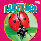 Ladybugs By Martha London Cover Image