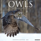 Owls 2024 12 X 12 Wall Calendar Cover Image