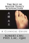 The Best of Master Tung's Acupuncture: A Clinical Guide Cover Image
