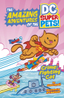 Crime-Fighting Cat By Steve Korté, Art Baltazar (Illustrator) Cover Image