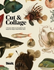 Cut and Collage By Kale James Cover Image