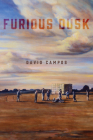 Furious Dusk Cover Image