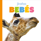 Jirafas Bebés By Kate Riggs Cover Image