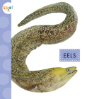 Eels (Spot Ocean Animals) By Mari Schuh Cover Image