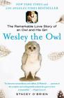 Wesley the Owl: The Remarkable Love Story of an Owl and His Girl By Stacey O'Brien Cover Image