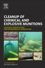 Cleanup of Chemical and Explosive Munitions: Location, Identification and Environmental Remediation By Richard Albright Cover Image