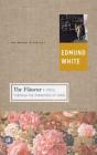 The Flaneur: A Stroll through the Paradoxes of Paris (Writer and the City) By Edmund White Cover Image