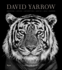 David Yarrow Photography: Americas Africa Antarctica Arctic Asia Europe Cover Image