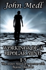 Workings of A Bipolar Mind 1-3 Omnibus: The Inner Mind of Someone With Bipolar Disorder By John Medl Cover Image