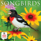 Songbirds 2023 Wall Calendar By Willow Creek Press Cover Image