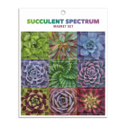 Succulent Spectrum Magnet Set By Galison, Troy Litten (By (artist)) Cover Image