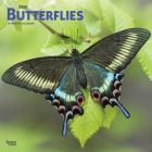 Butterflies 2020 Square Cover Image