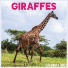 Giraffes Calendar 2021: Official Giraffes Calendar 2021, 12 Months By Print Art Factory Cover Image