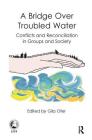 A Bridge Over Troubled Water: Conflicts and Reconciliation in Groups and Society (Efpp Monograph) By Gila Ofer Cover Image