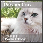Persian cats: 2021 Wall Calendar, 16 Month Calendar 8.5x8.5 Inch By Animal Lover Publishing Cover Image