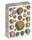 John Derian Paper Goods: Shells 1,000-Piece Puzzle By John Derian Cover Image