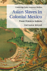 Asian Slaves in Colonial Mexico (Cambridge Latin American Studies #100) Cover Image