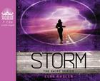 Storm (Library Edition) (Swipe #3) Cover Image